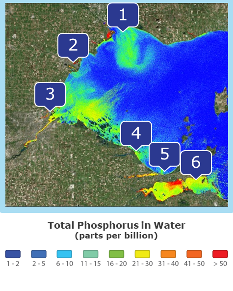 phosphorus-sediment-runoff.png#asset:10260