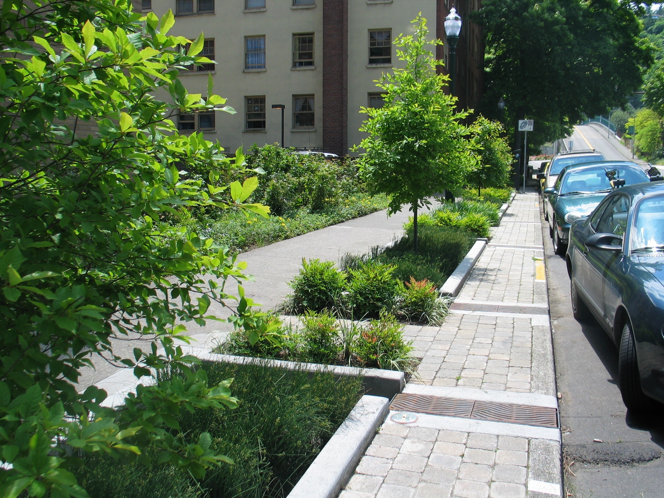 Street planters are used to absorb and hold storm water, keeping it from overrunning combined sewer systems.