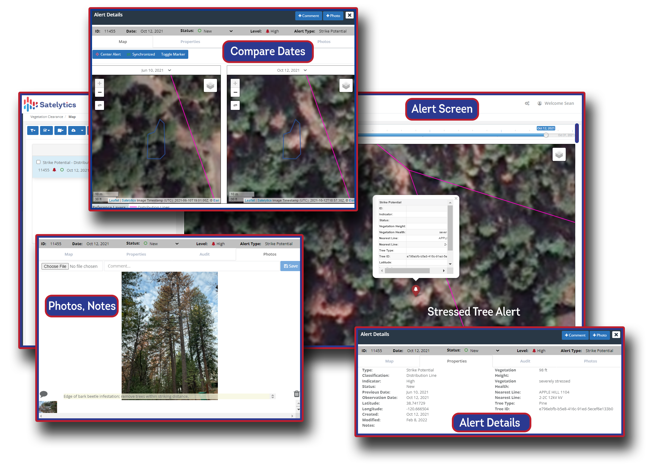 Identify infrastructure threats like these dying trees with Satelytics' UVM suite.