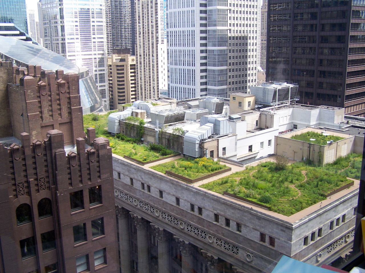 Green roof installation on Chicago City Hall. Green roofs collect and retain storm runoff keeping it from entering combined sewer systems.