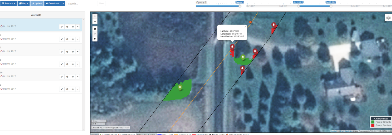 tree-remediation-2.png#asset:10317